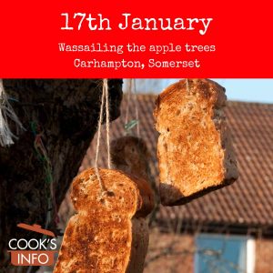 Toast hanging from tree
