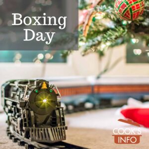 Toy train under tree at Christmas