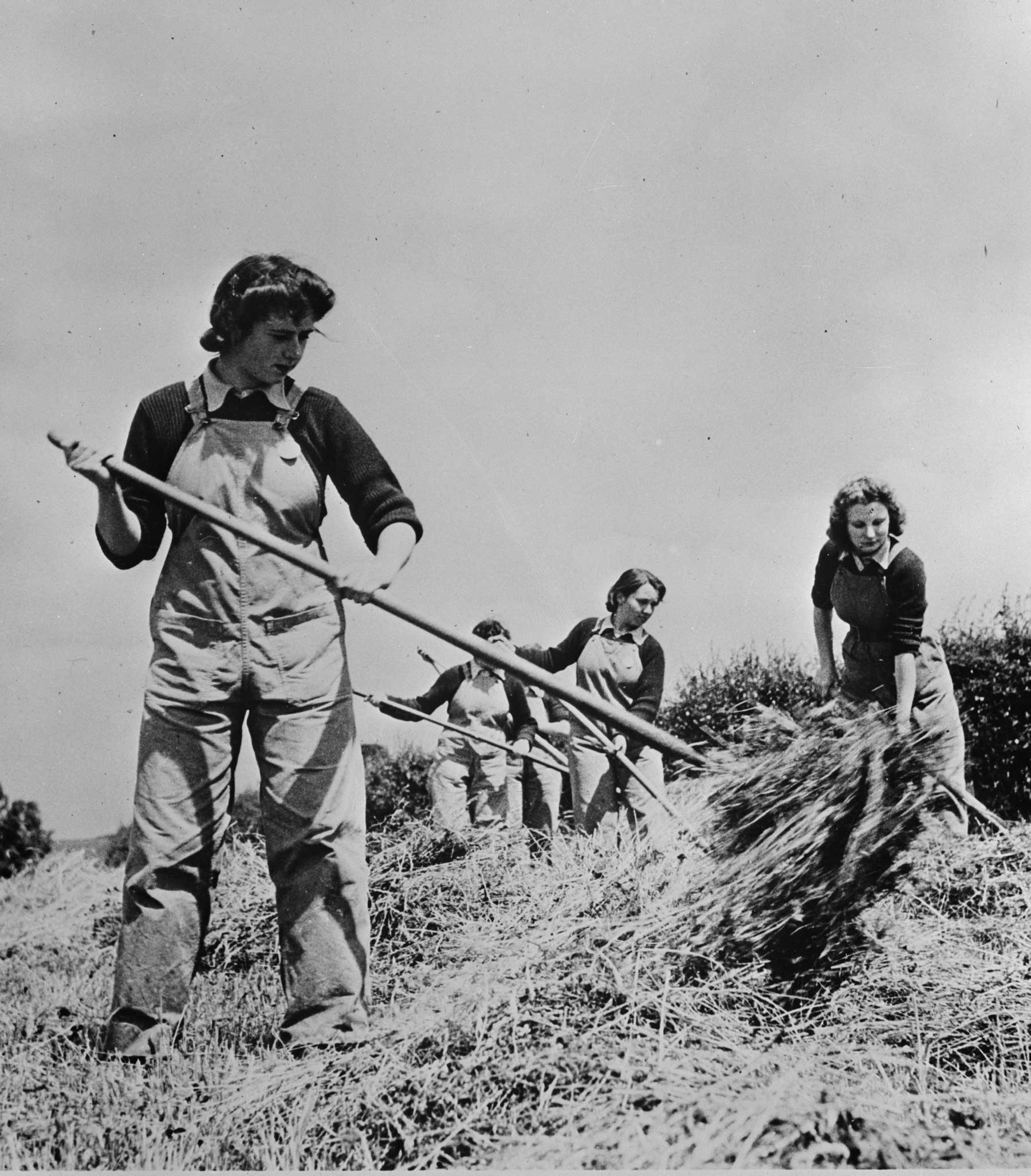 British Women's Land Army helping to harvest hay