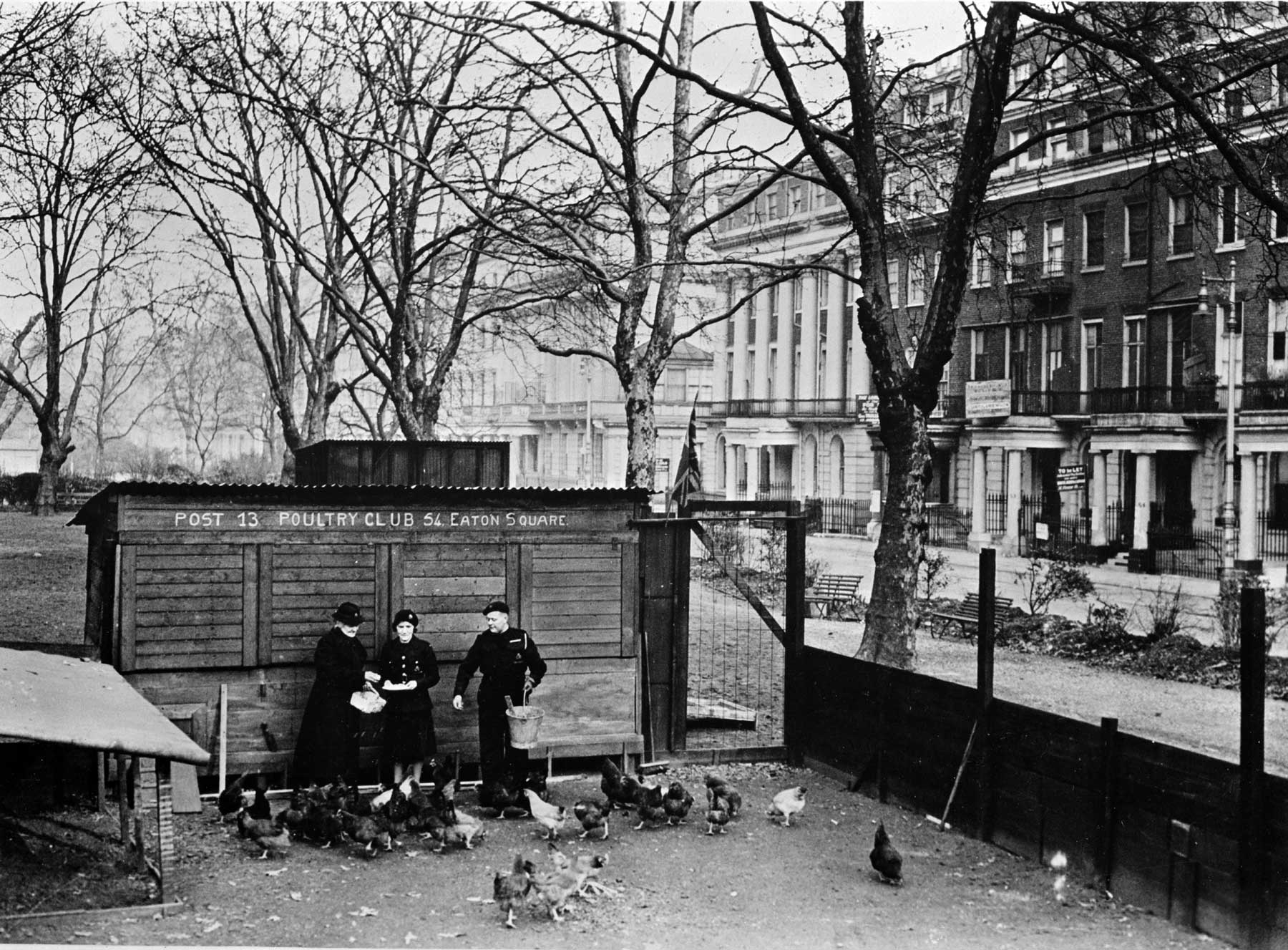 Poultry club in Eaton Square, London