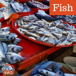 Fish