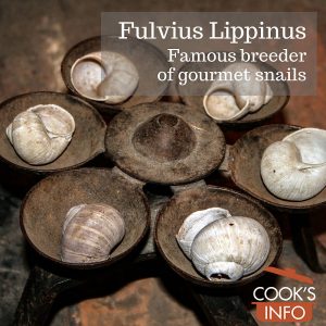 Fulvius Lippinus