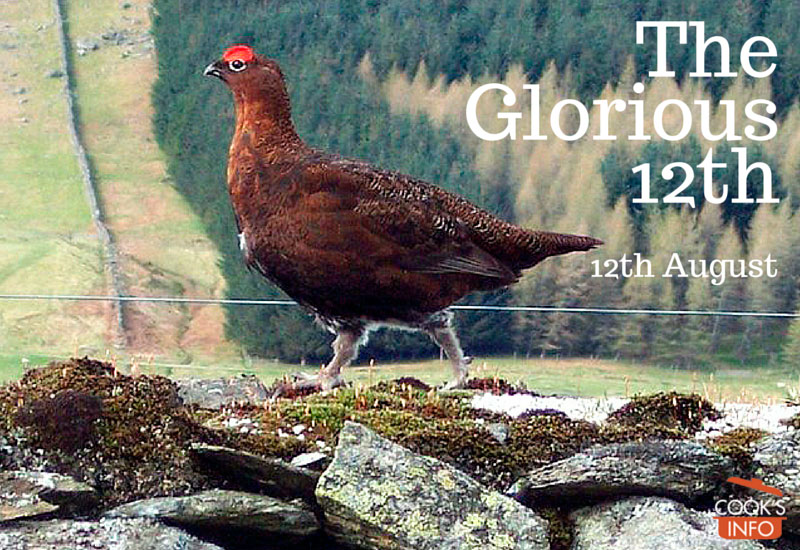 Red Grouse (Lagopus lagopus scoticus) Red Grouse (Lagopus lagopus scoticus)