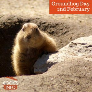 Groundhog