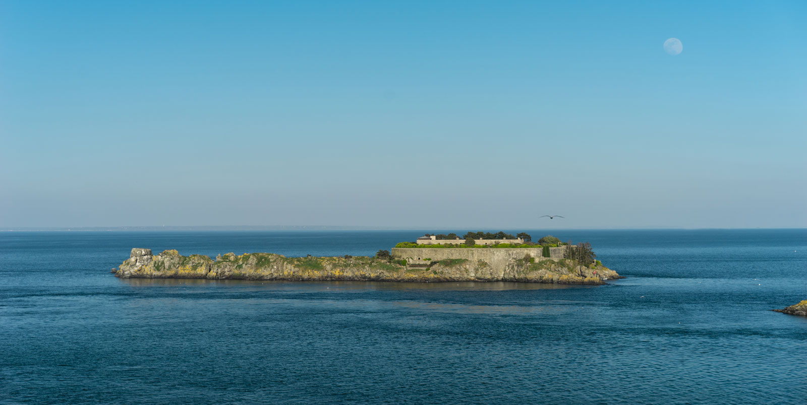 Île des rimains