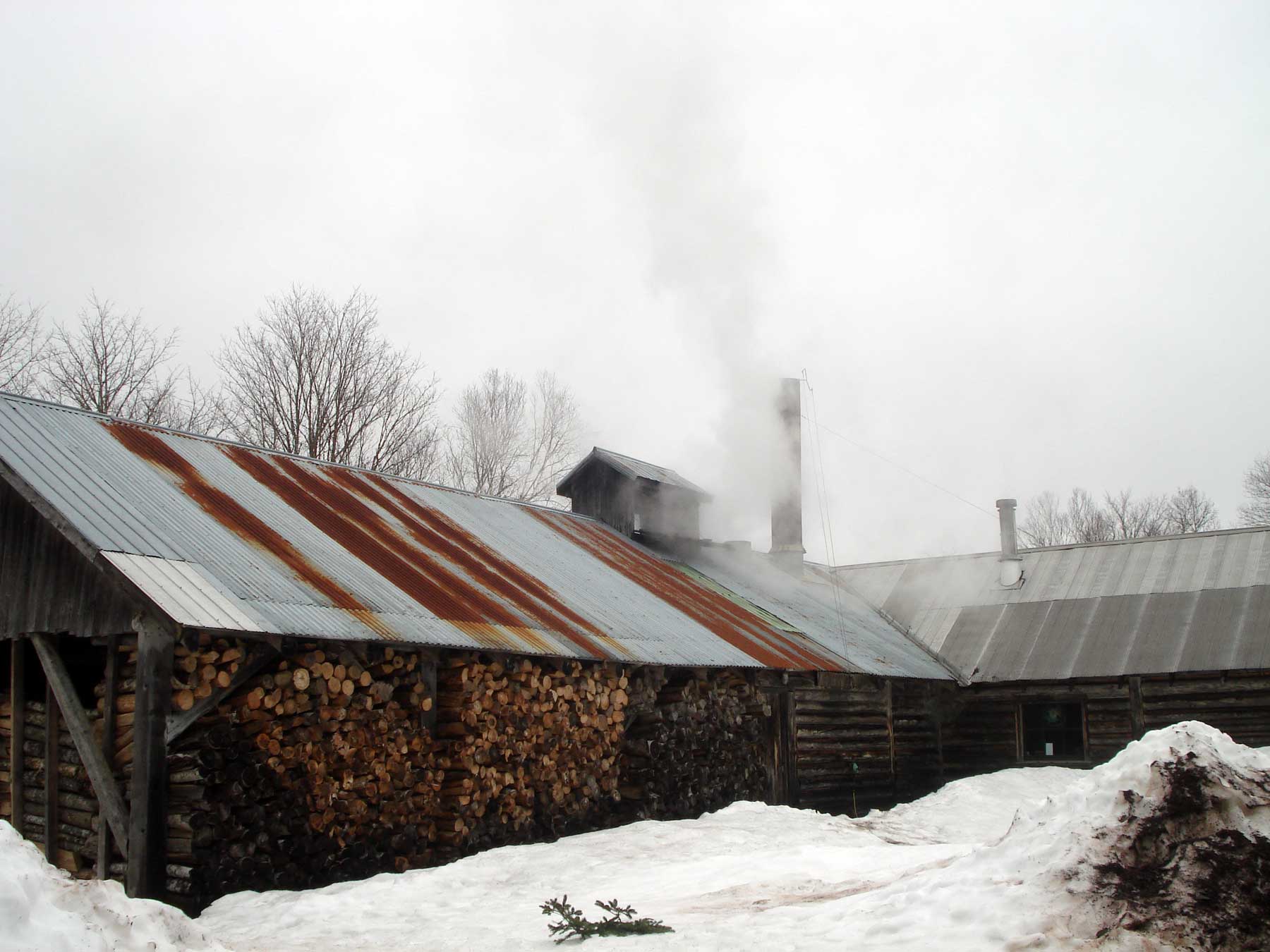 Exterior of maple syrup cabin