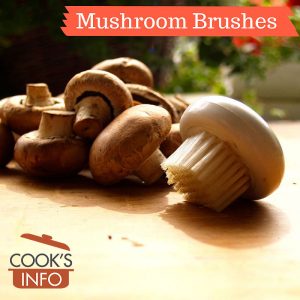 Mushroom Brush