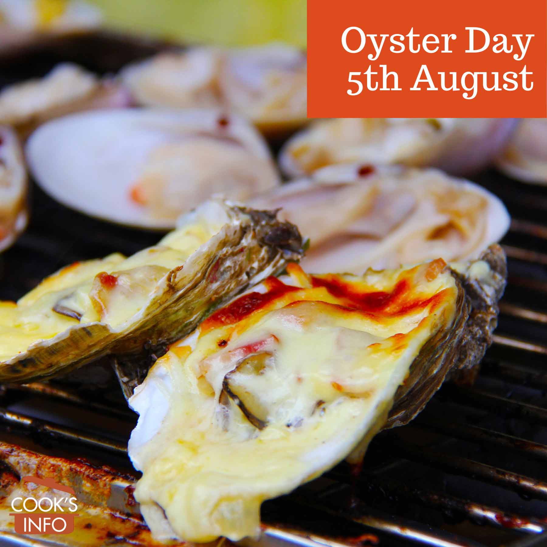 Grilled oysters