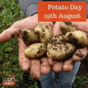 Harvesting potatoes