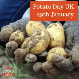 Potatoes being harvested