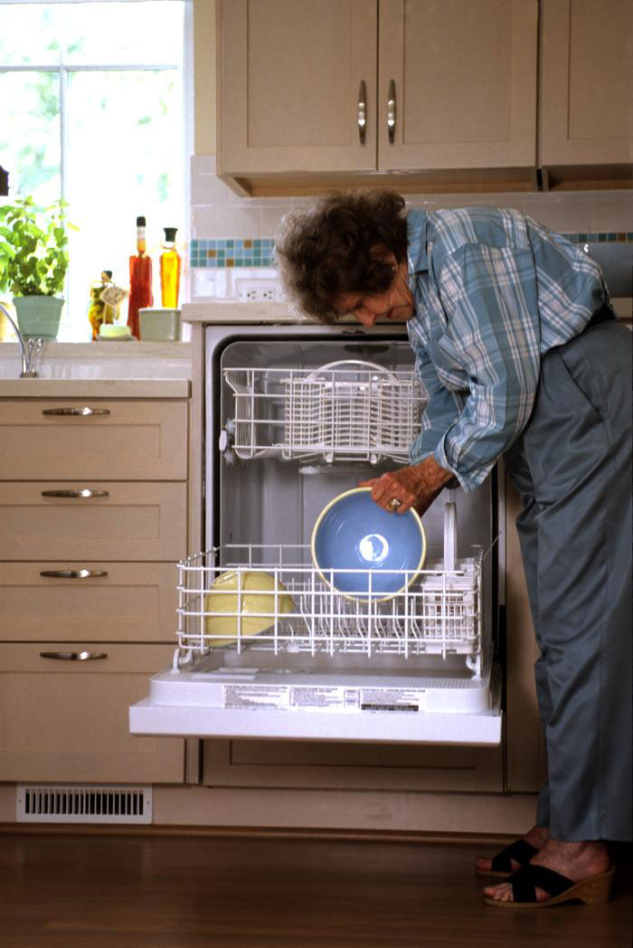 Accessible dishwashers