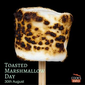 A toasted marshmallow on a stick