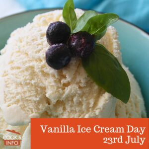 Vanilla Ice Cream